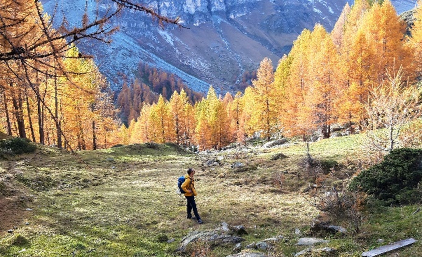 Immagine del prato con uomo al centro