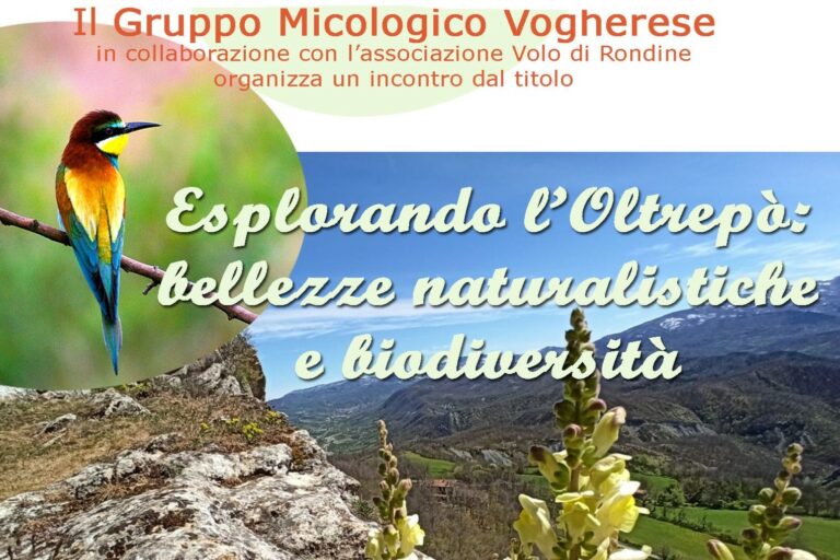 Esplorando l’Oltrepò
