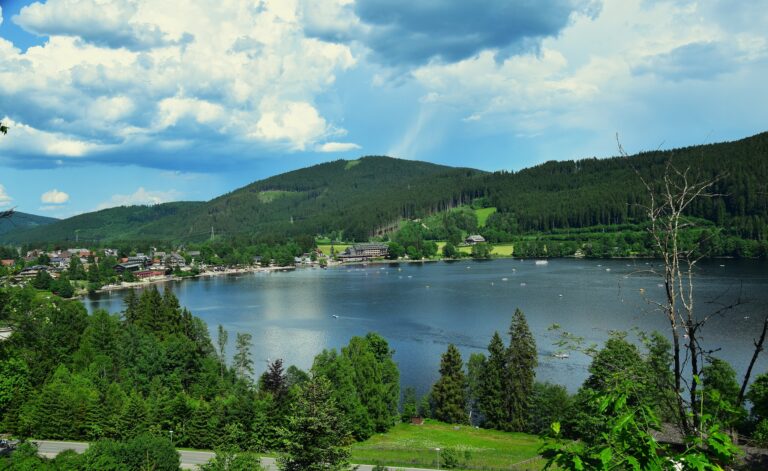 Foresta Nera: Hinterzarten e Lago Titisee